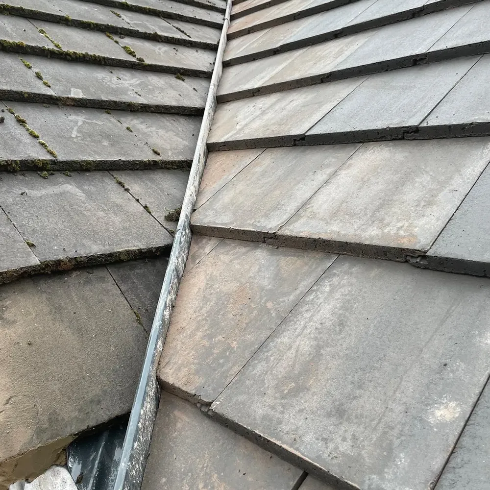 a gutter gutter gutter gutter gutter gutter gutter gut